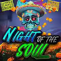 NIGHT OF THE SOUL