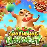 Groundhog Harvert